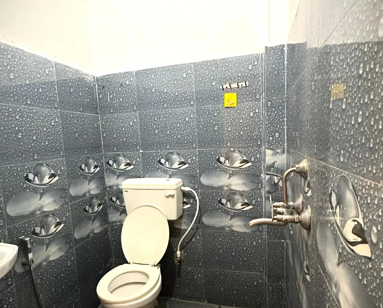 בית הארחה Om Rest House D24 32A, Pandey Ghat, Bengali Tola, Varanasi, Utter Pradesh